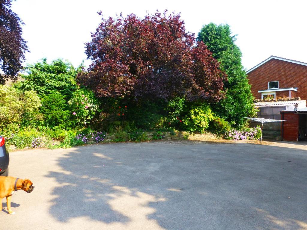 Ross-on-Wye Brookfield House酒店 外观 照片